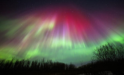 aurora borealis over Edmonton,  Alberta (Canada)